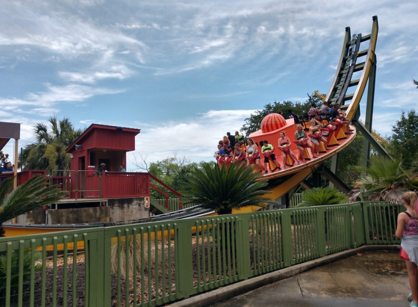 Wild Adventures, United States